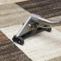 Avixia Carpet Cleaning Service